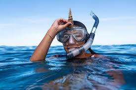 Snorkeling Adventure